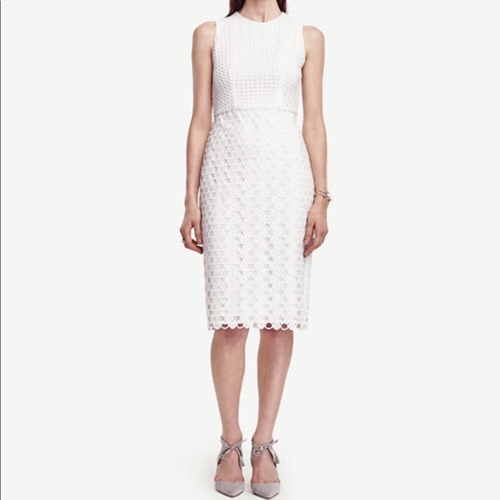 Ann Taylor White Eyelet Sheath Dress OP